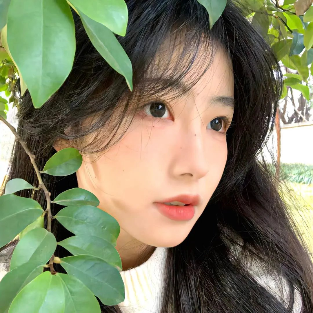 丫丫叉叉